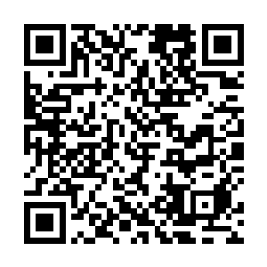 却在离西门遥遥在望的大街上只听到轰的一声巨响之后二维码生成