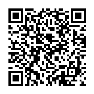 却在见到月璃闪耀着一双琉璃眸要笑不笑地看过来后二维码生成