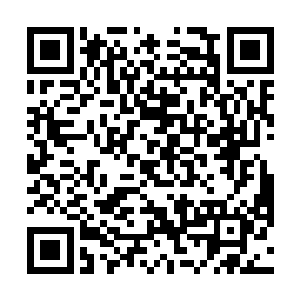 却在这时从血海的边际出现了一群带着鬼脸纹理的蝎子二维码生成