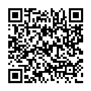 却就这么不明不白的被不死吞天虫吐出的虫液封冻二维码生成