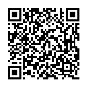 却已经是四五个人合抱都抱不过来的粗细了……二维码生成