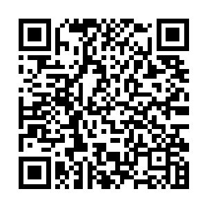 却并不似邵玄平日里见到的一群飞鸟集体起飞的情形二维码生成