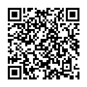 却并没有发现这狂妄青年说出这些话时那骨子里的强大自信二维码生成