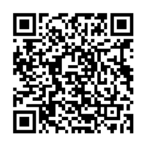 却忽然感觉自身的四肢百脉传来了一股极为可怕的力量二维码生成