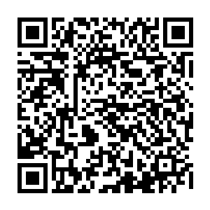 却忽略了作为外交工作的主线和本质就是要最大限度地争韧维护国家利益二维码生成