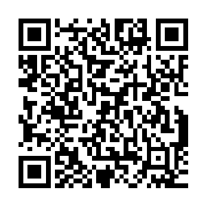 却惊讶的发现自己本来把握十足的那张牌根本已经不在那里了二维码生成