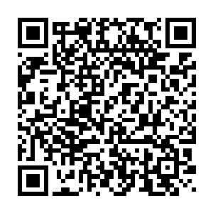 却惊讶的发现那一只血冠狐不知道何时居然消失了……确实是消失了二维码生成