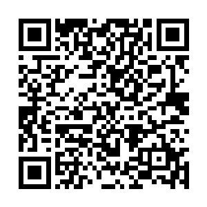 却感到站在她后面的哥哥轻轻的碰了一下她的后背二维码生成