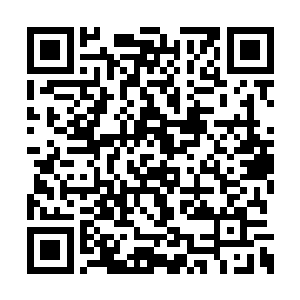 却无人能够真正的质疑他与希尹在战场上的判断二维码生成