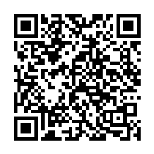 却无心看画听着议论声越来越远秀气的拳头撰的越来越紧二维码生成