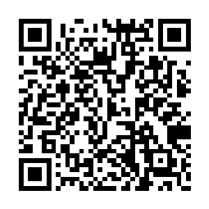 却无法令他如沼泽般的眼神中出现哪怕一道涟漪二维码生成