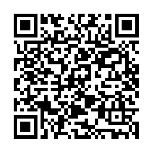 却是一只从来没有见过的古怪妖兽正护着它的幼崽二维码生成