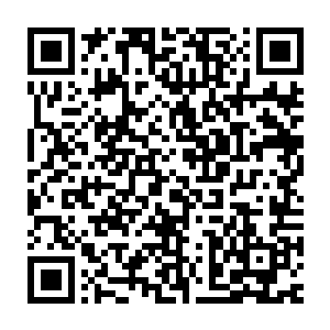 却是一只只三尺左右的巨型蚊子遮天蔽日般地向着许紫烟等人冲了过来二维码生成