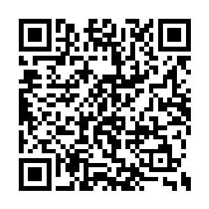 却是上个星宇利用虚度之门穿越到这个星宇干的二维码生成