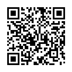 却是不见文聘和魏飞一干将士的身影二维码生成