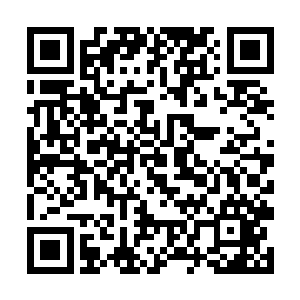 却是同时用着极为冷漠的眼神扫了眼白老身旁的林辰二维码生成