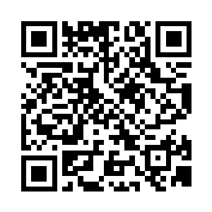 却是同时窜出了数百道无比粗壮的电弧二维码生成