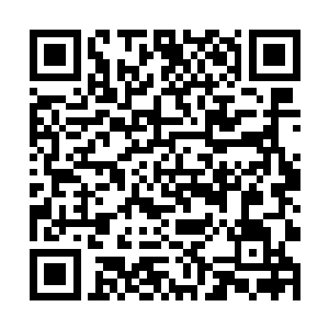 却是培养身体协调性以及柔韧性的非常好的一种方法二维码生成
