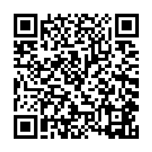 却是如今升仙宗唯一一个在此之前便进过内部的生灵二维码生成