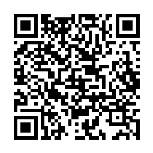 却是忽然发现自己竟是一直都没有夏琪的手机号码二维码生成