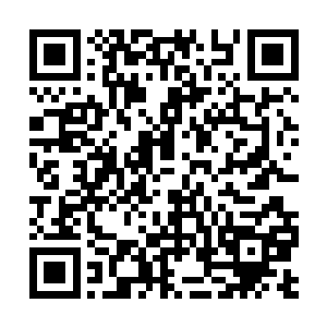 却是有些无语的看向了之前站在雪玲珑身后的莫冷二维码生成