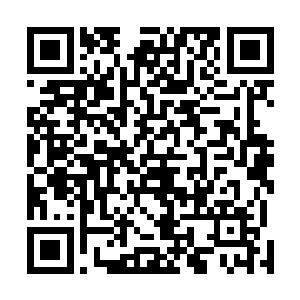 却是正巧看到寒月以及一个很漂亮的女孩来到自己的面前二维码生成