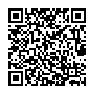 却是没发现那之前他们发现的有着那浅淡气息的地方二维码生成