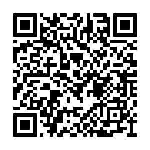 却是看也不看孙剑一眼的……两人互相看不顺眼二维码生成