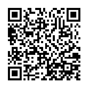 却是看到了一个穿着时尚的女子从红河公司这内走了出来二维码生成