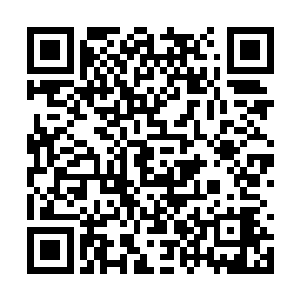 却是看到了一辆正在向着自己这边前行的黑色车影二维码生成