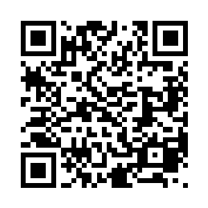 却是看着满满一地加工出来的翡翠宝石二维码生成