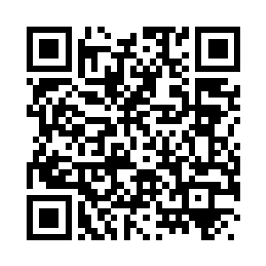 却是站着整整两排十六位礼仪小姐二维码生成