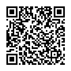 却是让他们发现了易红仙人似是取出了一些墨绿色的东西二维码生成