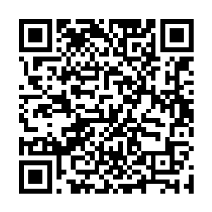 却是赋予了小银鱼更加强大的消化吸收能力和繁殖能力二维码生成