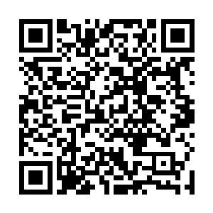 却是还被流墨墨不屑的勾起嘴角的话语打击的脸色发白二维码生成