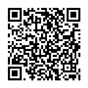 却是这雷火狮王一个转瞬便来到一个成员的身边二维码生成