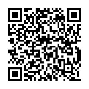 却是飞上半空后就被从城中飞来的几十人挡住了二维码生成