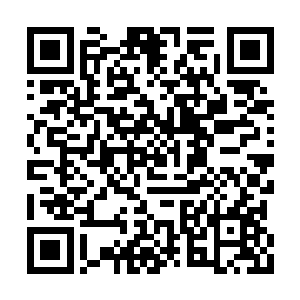 却更像是金龟子那种表面覆盖着一层硬壳的虫子二维码生成