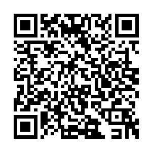 却有对准被墨锋拿来当挡箭牌的墨赤虎和墨小狐二维码生成