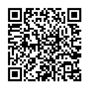 却正是之前被阿尔法命令给那名幼年人类提供食物的埃塔二维码生成
