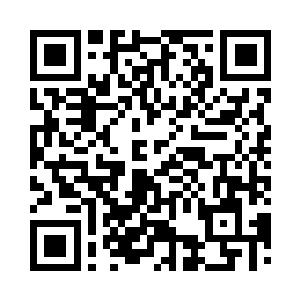 却正是那一只只三尺长的巨型蚊子组成二维码生成