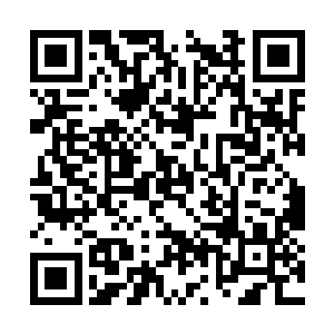 却没想到意外发现了对方身上藏着这么重大的秘密二维码生成