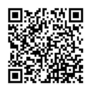 却没想到秦方的身上突然震荡出这样一股可怕的元气二维码生成
