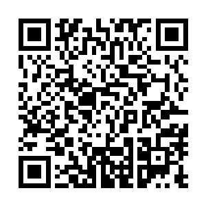 却没有想到吴虎臣仅仅是这么短短的时间便让战争魂兽臣服二维码生成