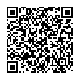 却猛地听到刚才的那个狗仔协会的师姐在那边兴奋发狂般地在喊道二维码生成