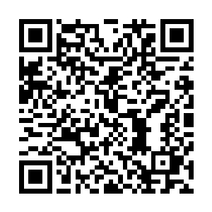 却猛然见到许紫烟大张开了四肢向着那柄刀狠狠地抱了过去二维码生成