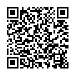 却看见窗台上的阿财突然搭着篮子用后腿支撑着站了起来二维码生成