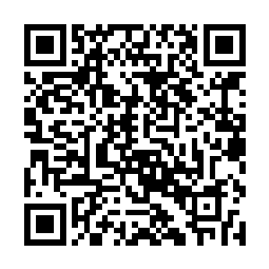 却绝对不可能跟司南这样的军火商的私人武装相比的二维码生成