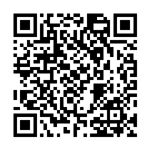却被一个不知从哪个石头缝里蹦出来的小角色看遍了全身二维码生成
