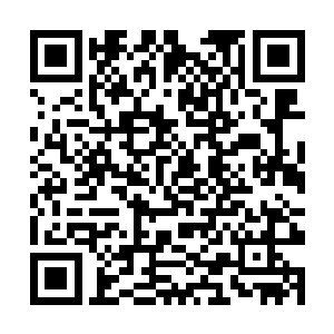 却被一介法相境后辈大成重伤……你成功的惹恼我了二维码生成